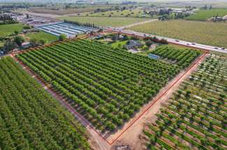 10.47 Acre Almond Orchard & Homes