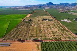 126.29 Acre Almond Orchard – Live Oak, CA