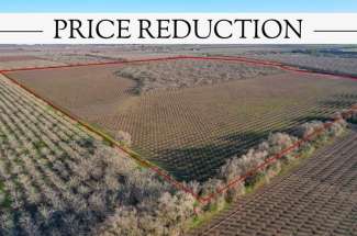 133 Acre Almond & Walnut Orchard – Yuba City, CA