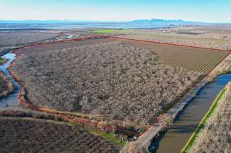 133 Acre Almond & Walnut Orchard – Yuba City, CA
