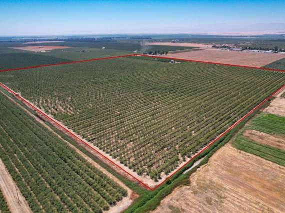 148 Acre Almond & Walnut Orchard – Artois, CA