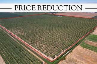 148 Acre Almond & Walnut Orchard – Artois, CA