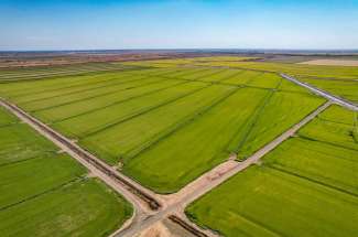 1484.80 Acre Rice Ranch – Davis, CA