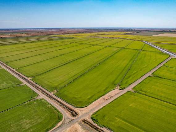 1484.80 Acre Rice Ranch – Davis, CA