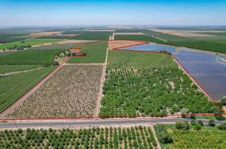 149.51 Acres Almonds, Walnuts, & Prunes – Glenn County, CA