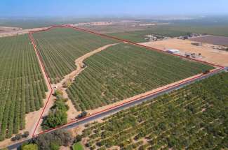 151.47 Acre Almond Orchard – Arbuckle, CA