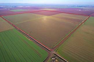 151.5 Acres Row Crops – Dixon, CA