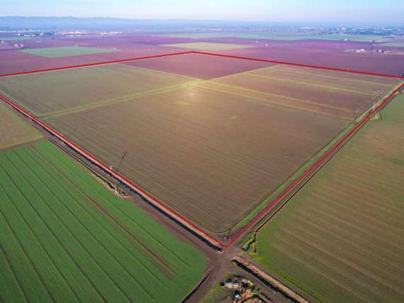 151.5 Acres Row Crops – Dixon, CA