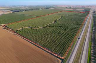 153 Acre Almond Orchard – Zamora, CA