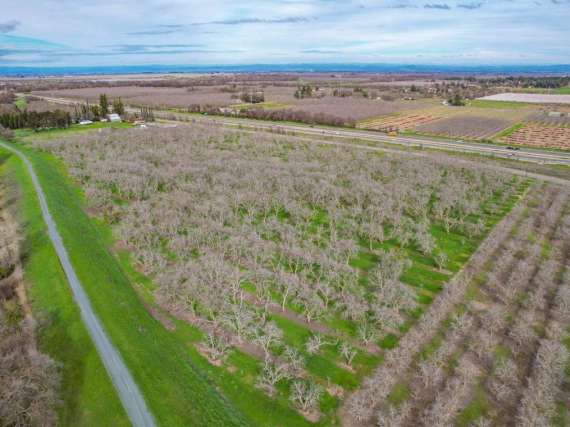 19.33 Acre Walnut Orchard – Rio Oso, CA