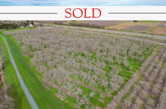 19.33 Acre Walnut Orchard – Rio Oso, CA