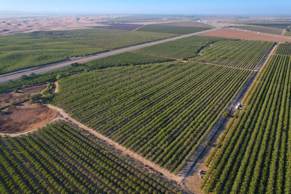 153-Acre-Almond-Orchard-pic1