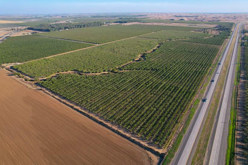 153-Acre-Almond-Orchard-pic5