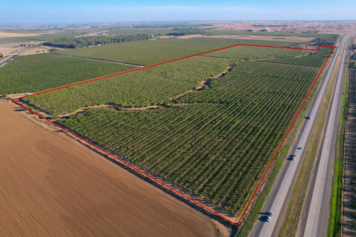 153-Acre-Almond-Orchard-pic6