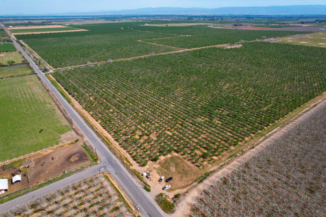 410-Acre-Almond-Orchard-pic6