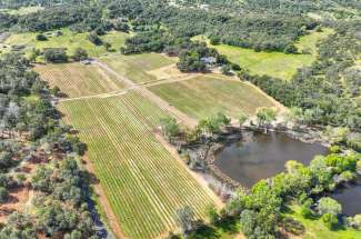 26.53 Acre Vineyard & Home – Browns Valley, CA