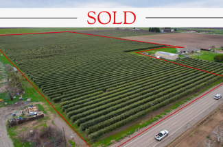30.19 Acre Olive Orchard – Yuba City, CA