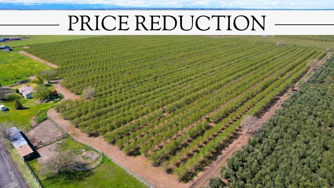 Price Reduction - 1