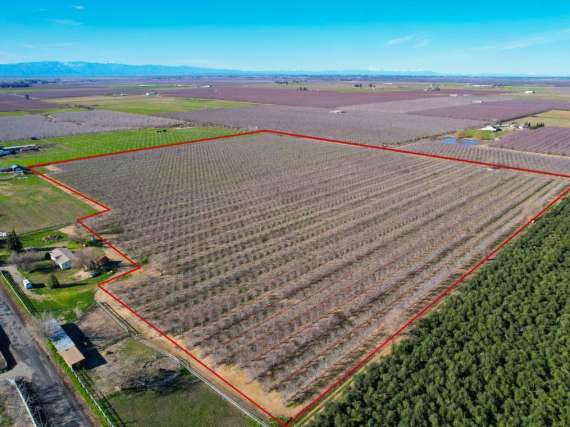 34 Acre Almond Orchard – Capay, CA