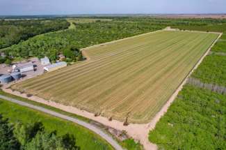 38.97 Acre Farmstead – Butte City, CA