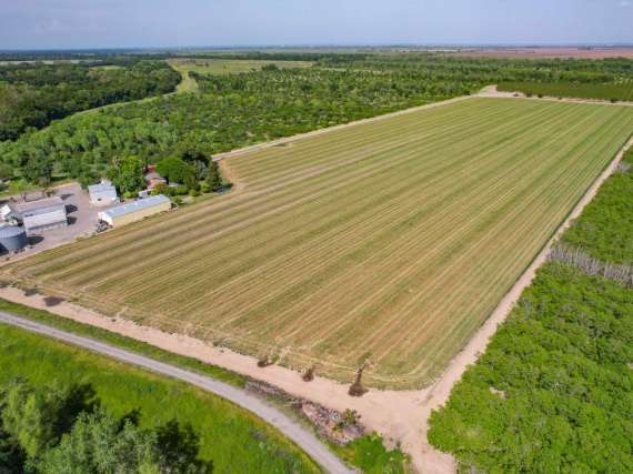 38.97 Acre Farmstead – Butte City, CA