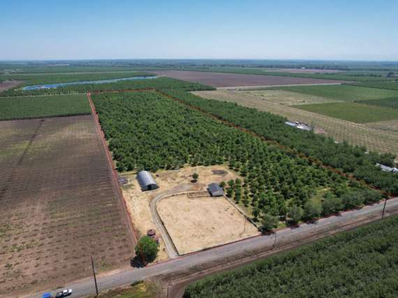 40 Acre Walnut Orchard – Chico, CA