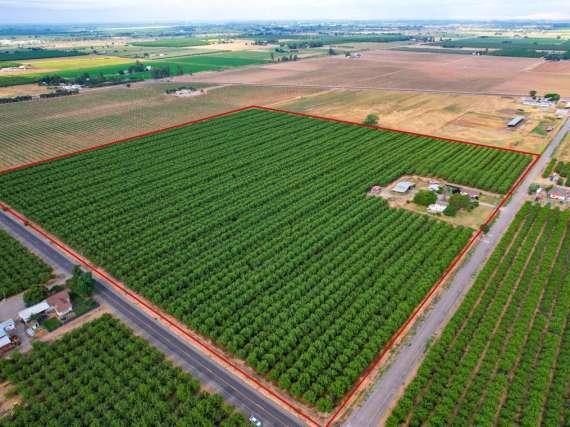 40 Acre Almond Orchard & Two Homes – Orland, CA