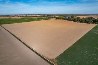 47.82 Acres Bare Ground – Walnut Grove, CA