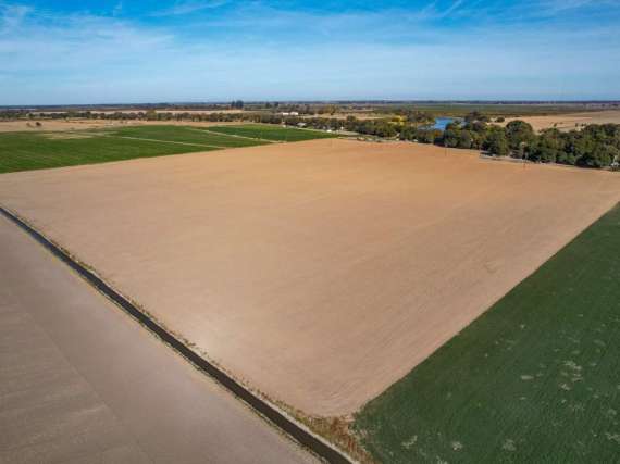 47.82 Acres Bare Ground – Walnut Grove, CA