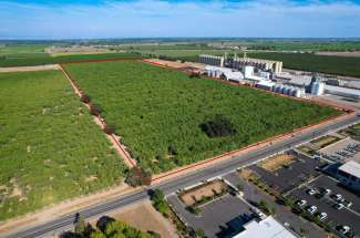 53.14 Acre Almond Orchard