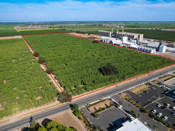 53.14 Acre Almond Orchard