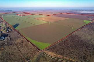 596.52 Acres of Row Crops – Dixon, CA