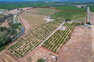 76 Acre Walnut Orchard & Rental Home