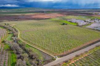 78.22 Acre Walnut Orchard & Two Homes – Marysville, CA