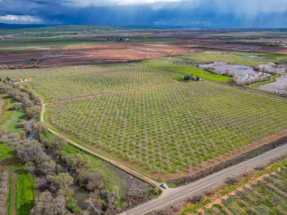 78.22 Acre Walnut Orchard & Two Homes – Marysville, CA