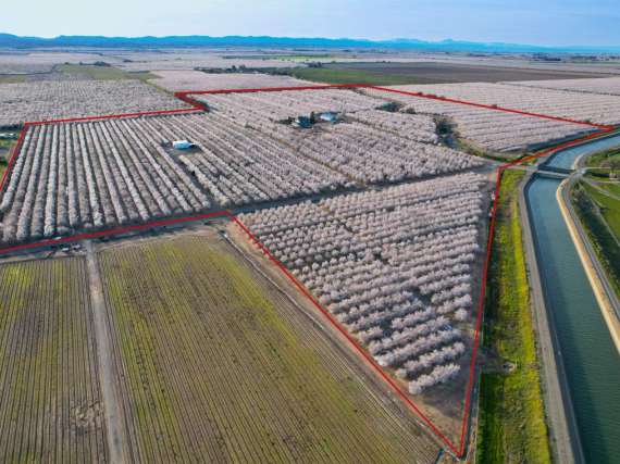 83.39 Acre Almond Orchard & House – Dunnigan, CA