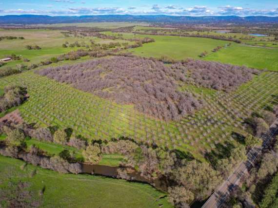 83.45 Acre Walnut Orchard – Oroville, CA