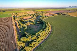 Angel Ranch Duck Club – Butte City, CA